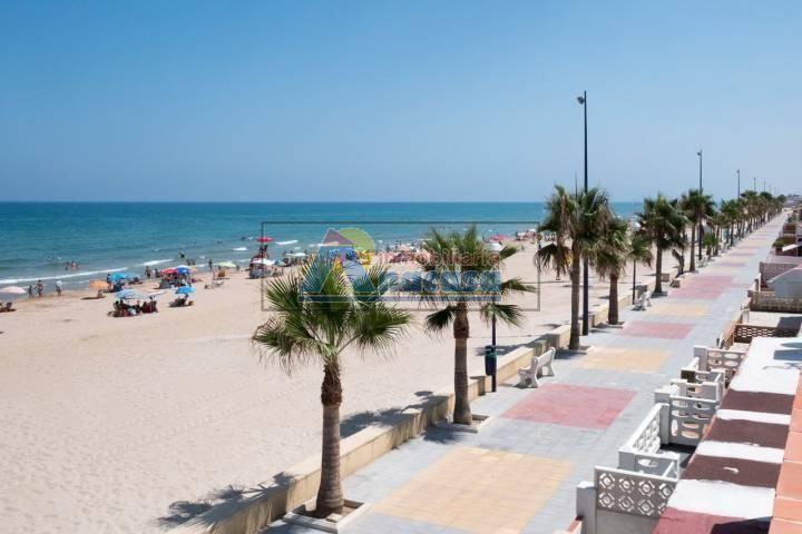 APARTAMENTO-COMERCIO  EN PLANTA BAJA EN  PLAYA DE MIRAMAR photo 0