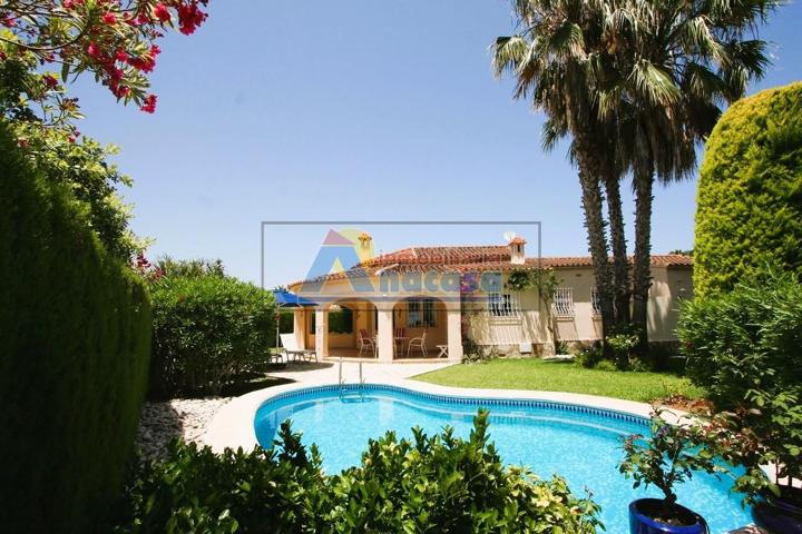 Estupenda villa en playa oliva nova con piscina photo 0