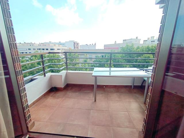 GRAN PISO EN ZONA PASEO DE OLIVA photo 0