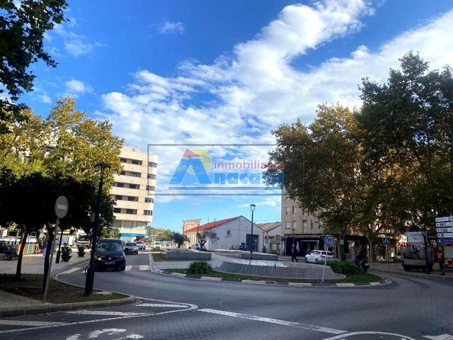 ENTRESUELO EN PLENO PASEO DE OLIVA photo 0