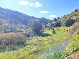 Finca Rústica en venta en La Cala del Moral de 60000 m2 photo 0