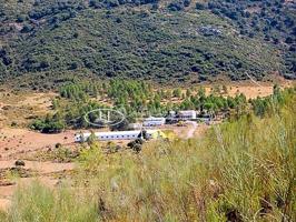 Exclusiva Finca de 950 hectáreas en Venta en Ronda, Málaga. photo 0