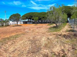 Maravillosa Parcela Segregada en Venta en junto al Novo Sancti Petri, Chiclana de la Fra., Cádiz photo 0