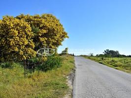 Fantástica Finca en Venta en la Zona de Batería Colorada, Pinar de los Franceses, Chiclana de la Fra. Cádiz photo 0