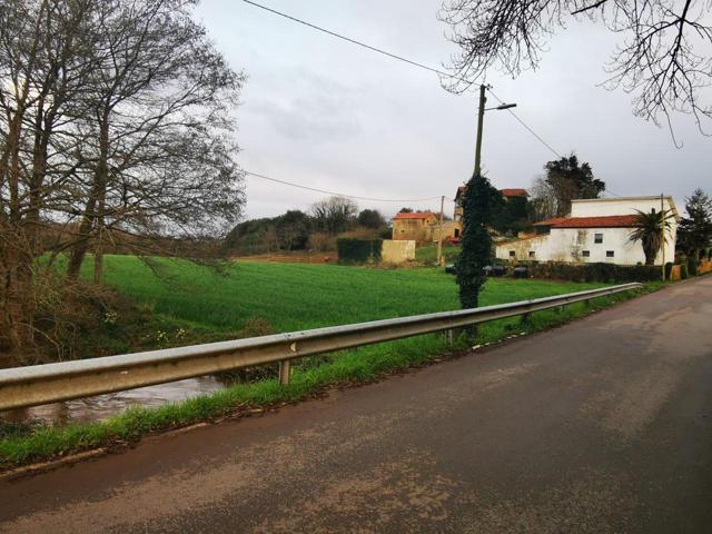 Finca 21.000m2 apta cultivos photo 0