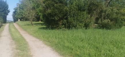 FINCA LLANA Y SOLEADA photo 0