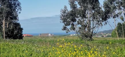 Finca edificable vistas al mar photo 0