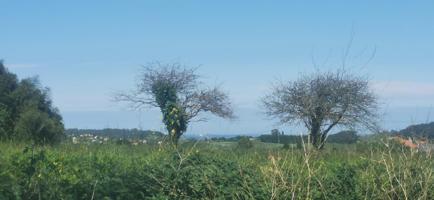 Finca edificable vistas al mar photo 0