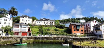 PROPIEDAD ÚNICA EN VIAVÉLEZ - ASTURIAS!!! photo 0