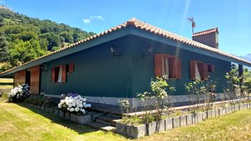 Chalet 270m en La Campa, Felechosa photo 0