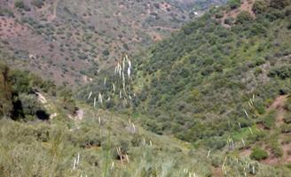 Terreno en venta en praje Romo, Pol 5 Parc 37 photo 0
