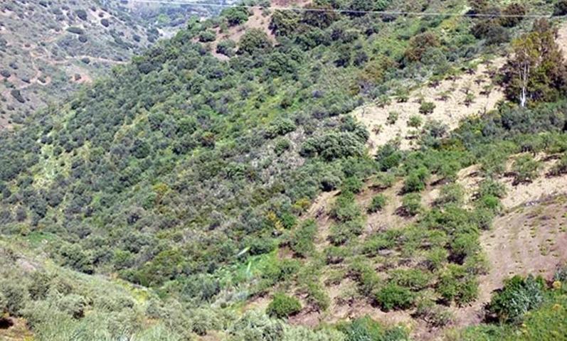 Terreno en venta en praje Romo, Pol 5 Parc 37 photo 0