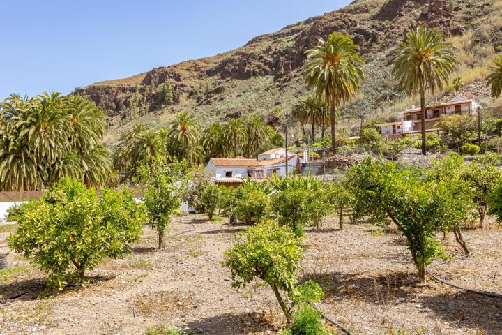 Casa Rural con Apartamento para Invitados en una Propiedad Paradisíaca en Fataga photo 0