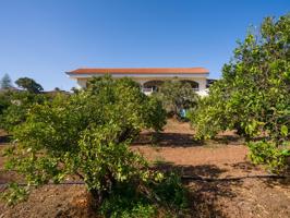 Finca rústica con amplia vivienda y azotea en Las Mejías – Ingenio, Gran Canaria photo 0