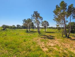 Terrenos Edificables En venta en Mont-roig del Camp photo 0
