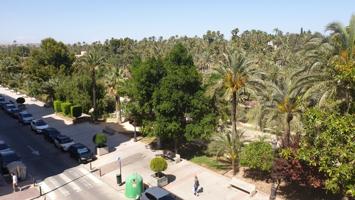 Estupendo piso en venta en Elche, con vistas al palmeral photo 0