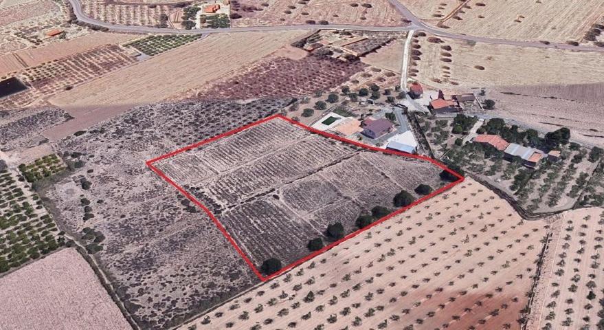 Parcela rústica edificable cerca de ELche photo 0