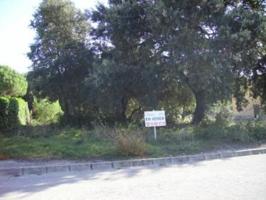 TERRENO EN VENTA EN SEVA photo 0