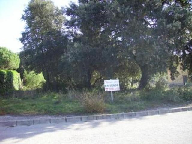 TERRENO EN VENTA EN SEVA photo 0