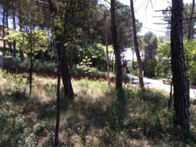 TERRENO EN VENTA EN SEVA photo 0