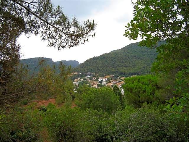 TERRENO EN VENTA EN CENTELLES photo 0