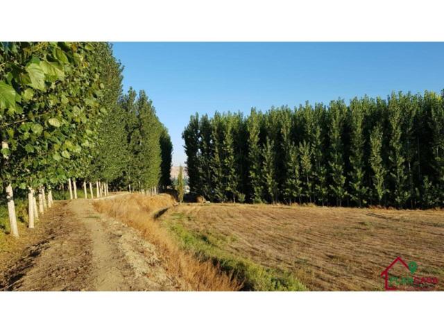 Finca rustica en venta en Purullena photo 0