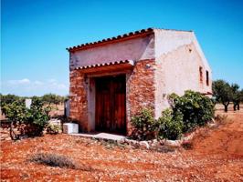 FINCA RÚSTICA EN VENTA CON CASETA photo 0