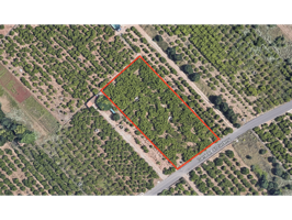 FINCA RÚSTICA EN VENTA photo 0