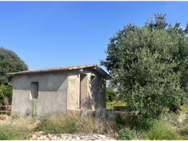 FINCA RÚSTICA EN VENTA CON CASETA photo 0
