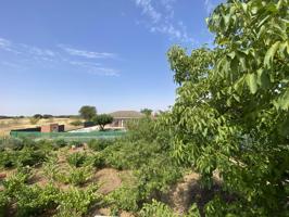 Casa - Chalet en venta en Pioz de 1000 m2 photo 0