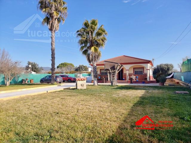 CASA CON TERRENO EN VENTA EN CARRETERA PALMA DEL RIO photo 0