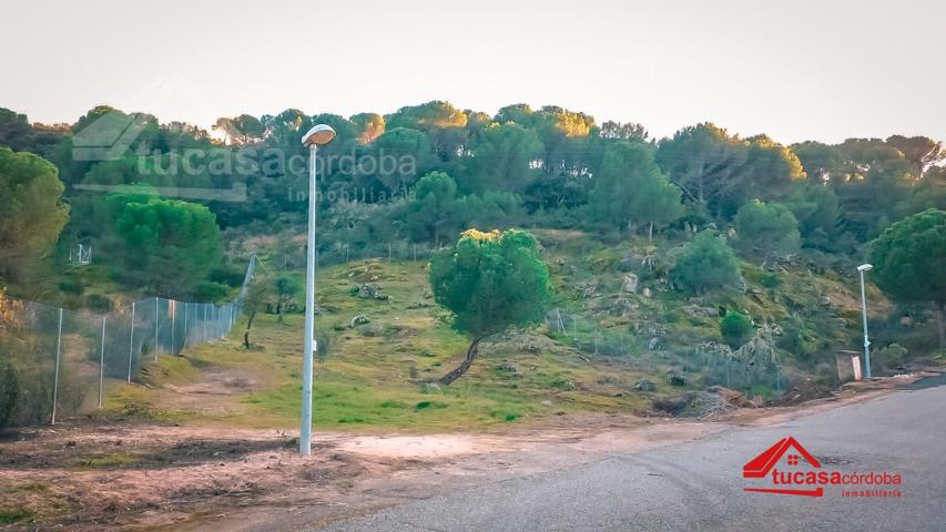 Terreno exclusivo en Trassierra - Las Jaras: 🌿 tu oportunidad para construir el hogar de tus sueños photo 0