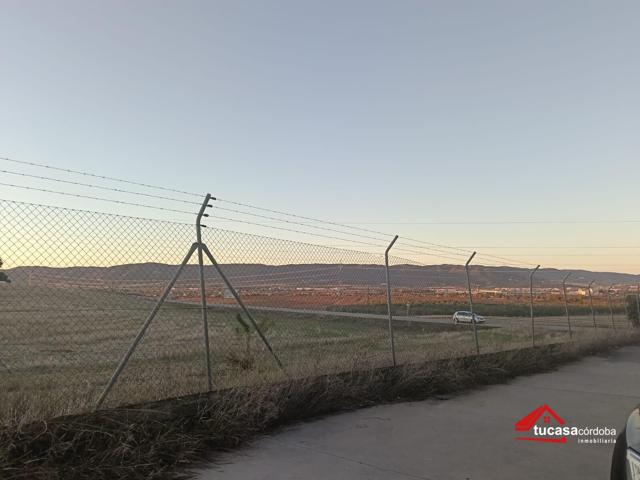 📢 ¡OPORTUNIDAD ÚNICA EN EL POLÍGONO INDUSTRIAL EL CAÑUELO! 🚀 photo 0