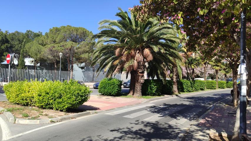 Florida -Babel- Alicante photo 0