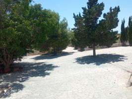 Chalet Independiente - San Vicente Del Raspeig photo 0