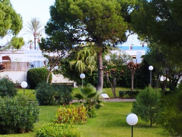 APARTAMENTO EN LA URBANIZACIÓN MÁS EMBLEMÁTICA DE LA PLAYA DE GANDIA photo 0