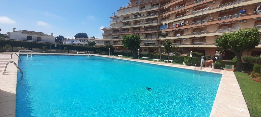 ALQUILER DE TEMPORAL HASTA JUNIO EN LA PLAYA DE GANDIA photo 0