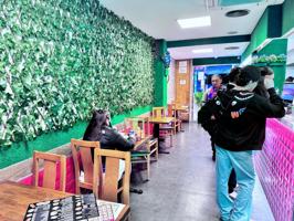 Local comercial - Barcelona photo 0