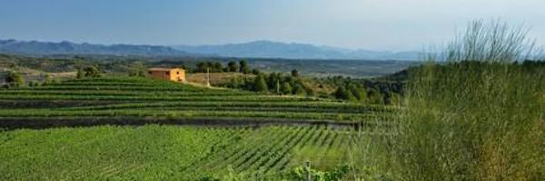 Suelo rústico - Figuera, La photo 0