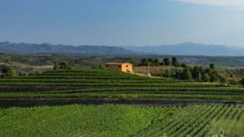 Suelo rústico - Figuera, La photo 0