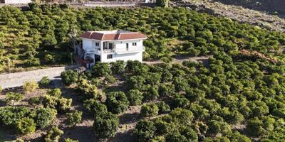 Finca rústica en explotación se vende en Mogán. photo 0