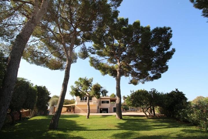 Casa a 5 minutos de la playa de Sa Rápita photo 0