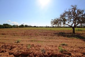 Terreno cerca de Campos en una zona muy tranquila photo 0