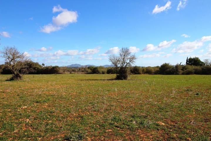 Terreno en Campos con vistas despejadas photo 0