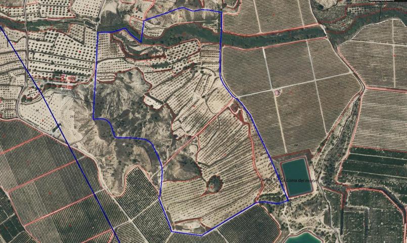 Finca Rustica en Torremendo 298.000 metros photo 0