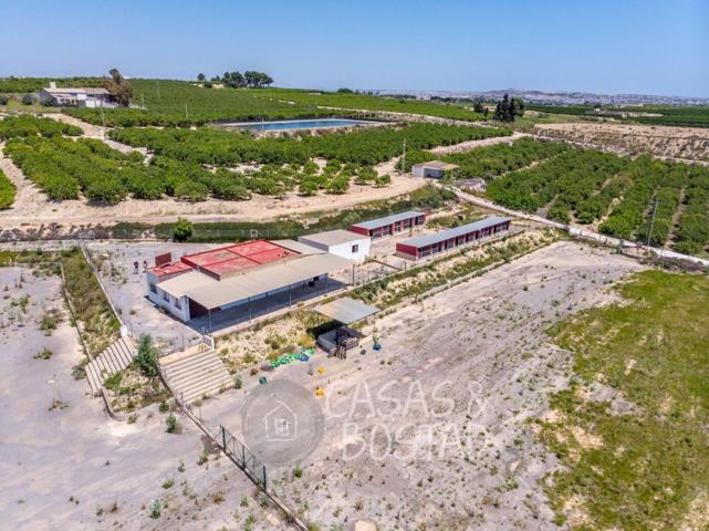 ¡Inversión Única! Finca Rústica en Los Montesinos con Vistas Panorámicas a la Laguna Rosa photo 0