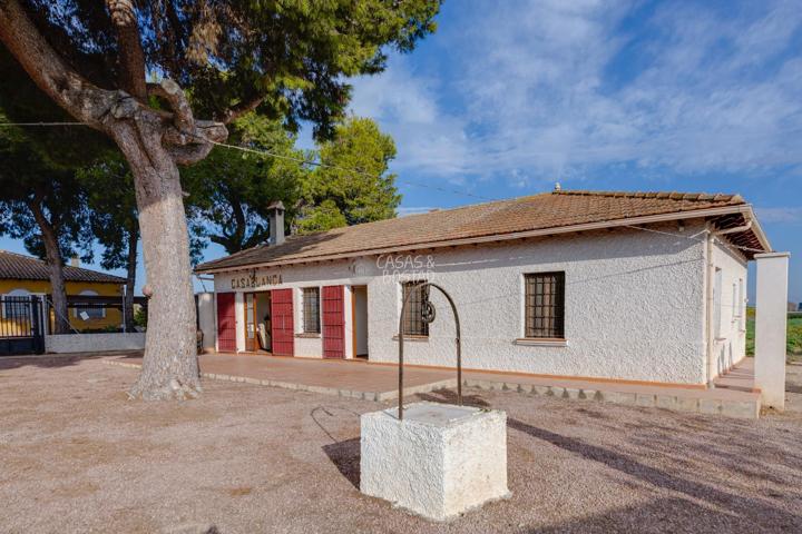 CHALET EN LA DAYA EN FINCA DE 13.000 M2 photo 0