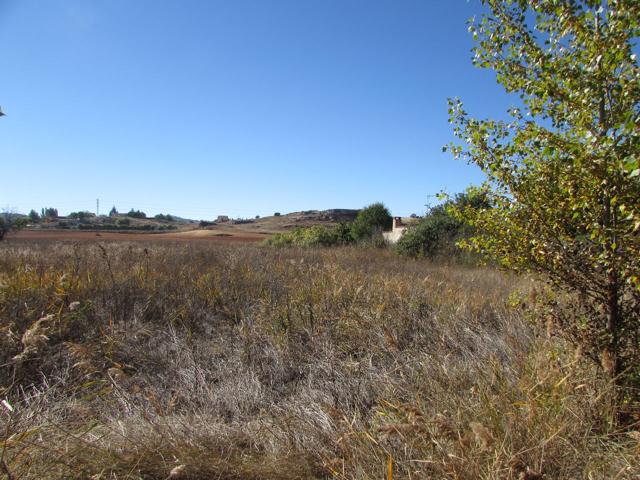 VENTA DE PARCELA EN LA MELGOSA photo 0