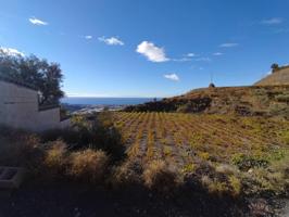 Terreno Urbanizable En venta en Paraje Zarzaparrilla, Paraje Zarzaparrilla, Algarrobo photo 0