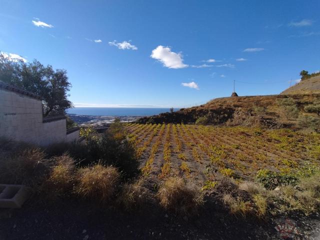 Terreno Urbanizable En venta en Paraje Zarzaparrilla, Paraje Zarzaparrilla, Algarrobo photo 0